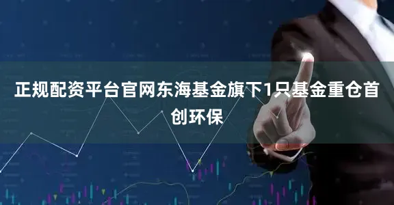 正规配资平台官网东海基金旗下1只基金重仓首创环保